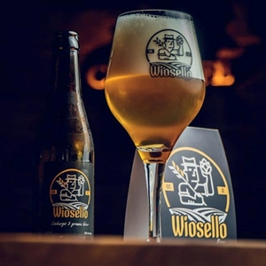 Wiosello cerveza